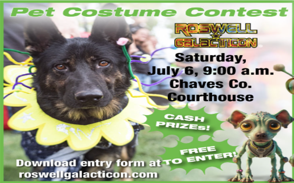 A dog in a sunflower-alien costume pictured with an alien dog and text describing the 2024 UFO Festival Pet Costume Contest.